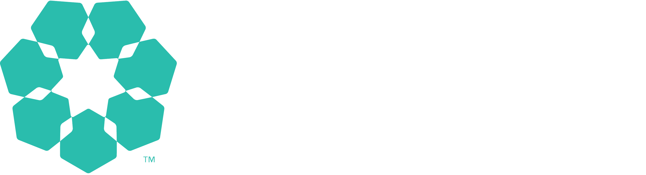 Partner logo image (3)